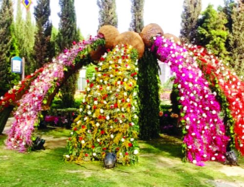 लैंडक्राफ्ट सोसायटी में शुरू हुआ फ्लावर शो व चटकारे महोत्सव