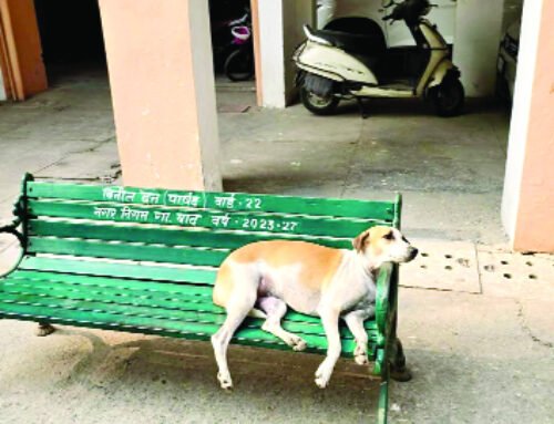 गुलमोहर एंक्लेव में कुत्तों के आतंक पर लिखा पत्र