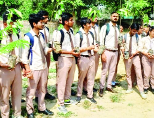 एनएसएस स्वयंसेवकों ने किया वृक्षारोपण