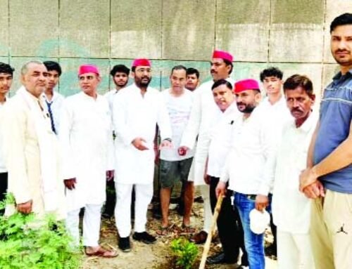 सेक्टर-31 शहीद भगत सिंह पार्क में किया पौधारोपण