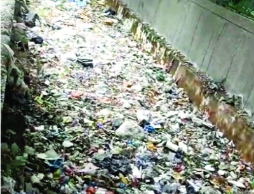 सेक्टर-51 में नाला गंदगी से पटा