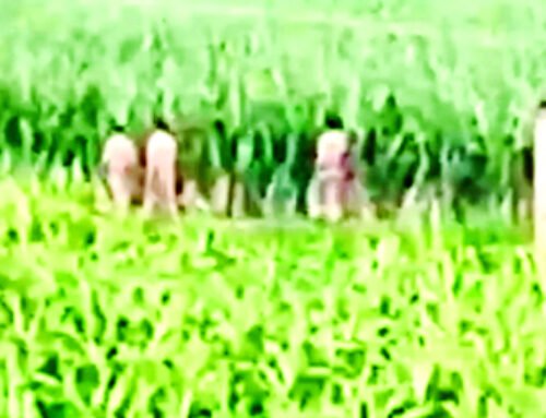 हथकड़ी समेत फरार हुआ आरिफ गिरफ्तार